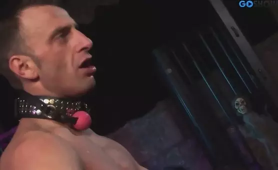 Domination Delights Femme Fatales Tortured Nuts